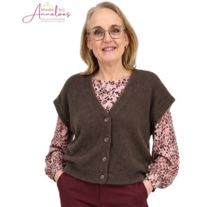 Enjoy Gilet 183310.551 Taupe v-hals Enjoy Gilet 183310.551 Taupe v-hals
